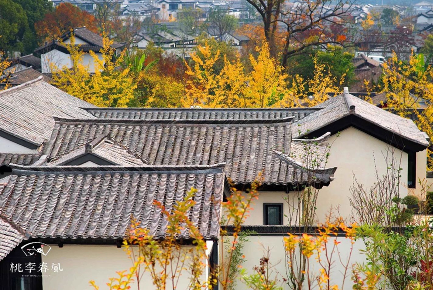 yp街机·电子游戏(中国)官方网站